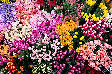 全动态音像真人恐怖游戏《背后》Steam页面 8月1日发售